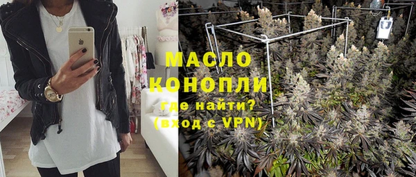 индика Медногорск