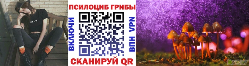 блэк спрут ONION  где купить наркоту  Зея  Галлюциногенные грибы Magic Shrooms 